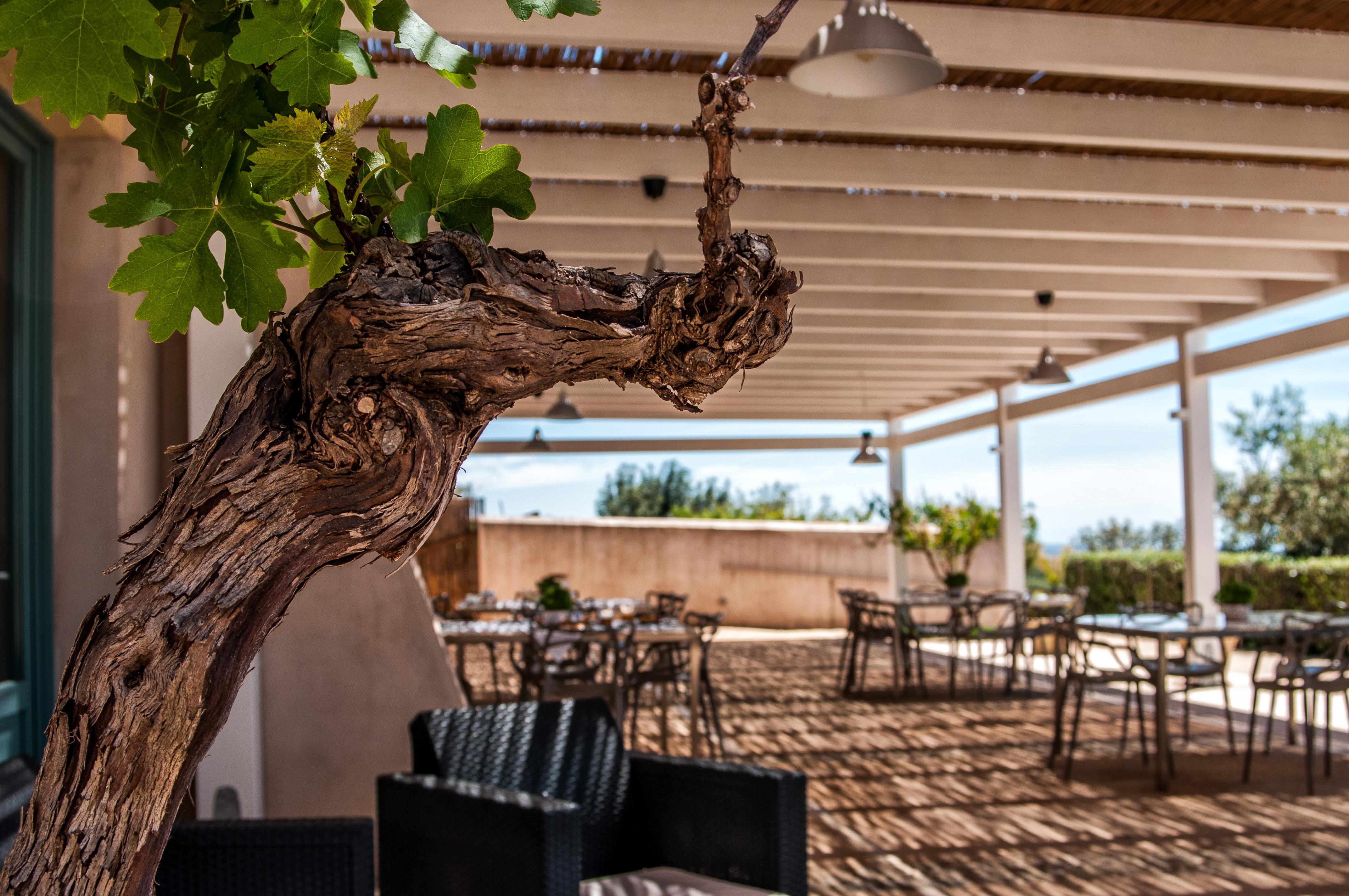 Relais Casina Miregia Hotel Menfi Kültér fotó