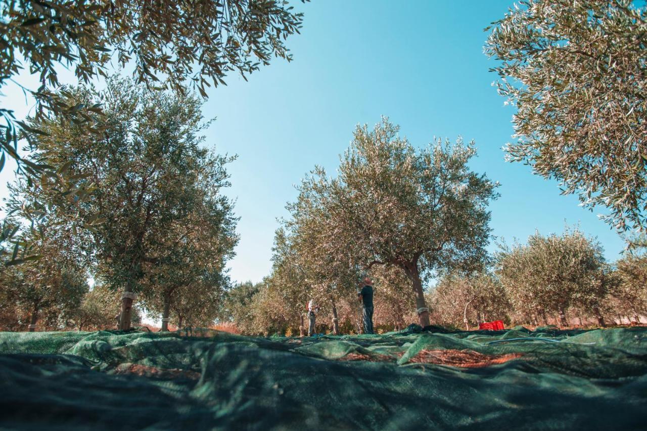 Relais Casina Miregia Hotel Menfi Kültér fotó